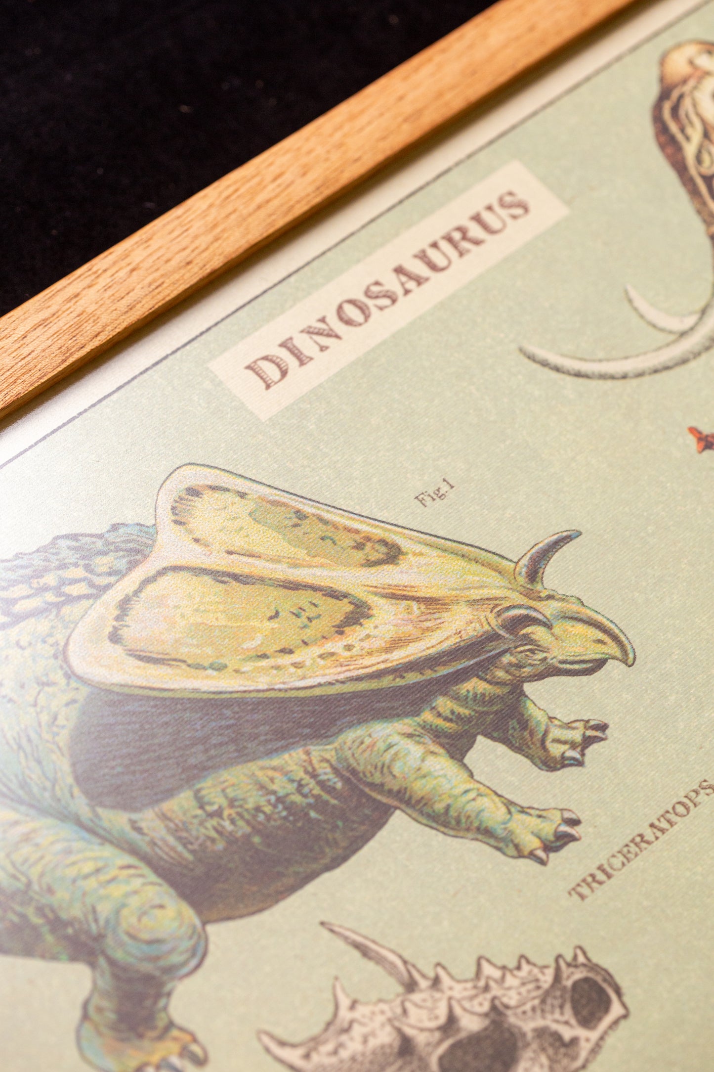 Cavallini - Dinosaurus