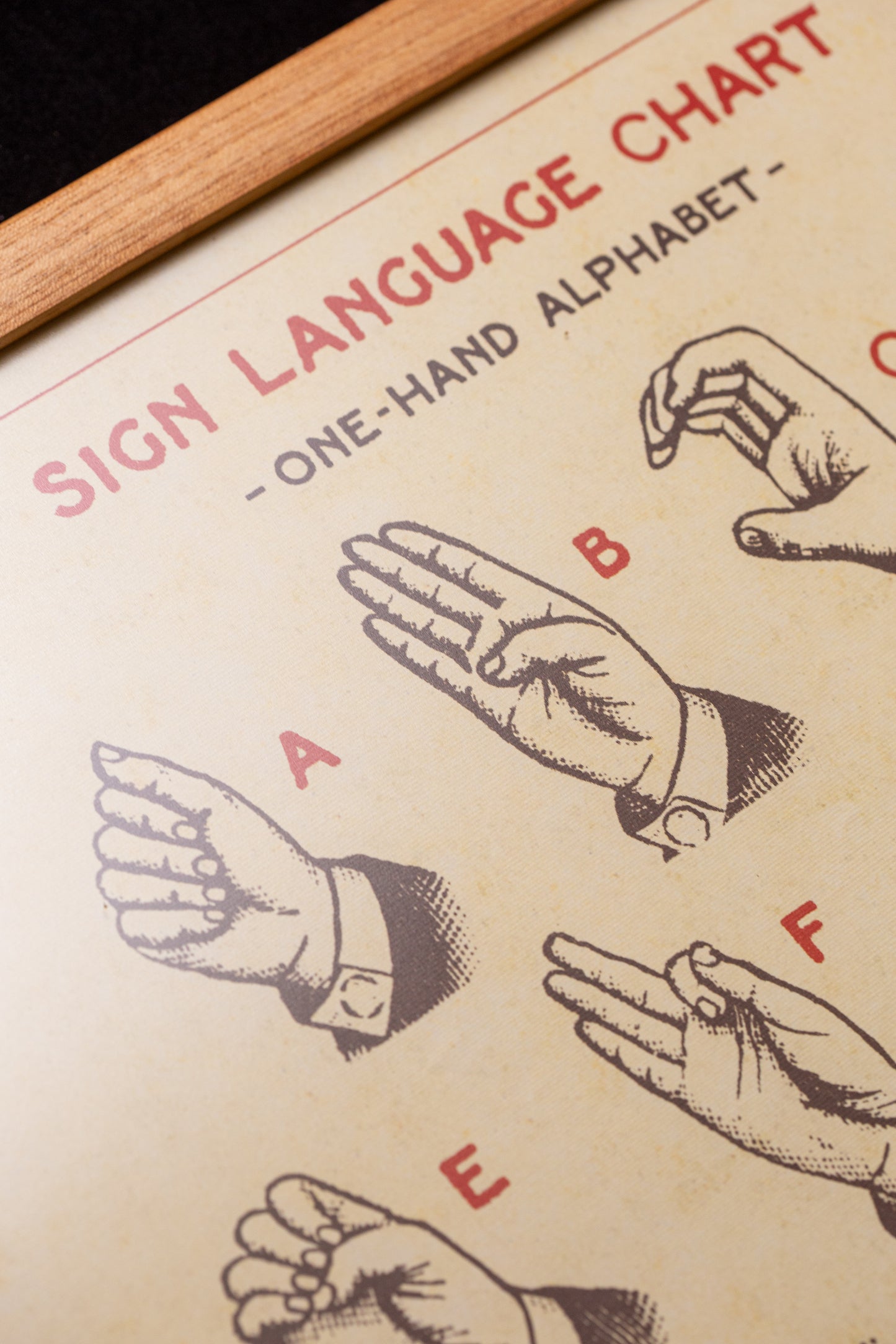 Cavallini - Sign language chart