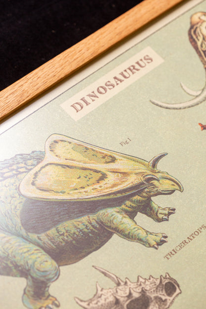 Cavallini - Dinosaurus