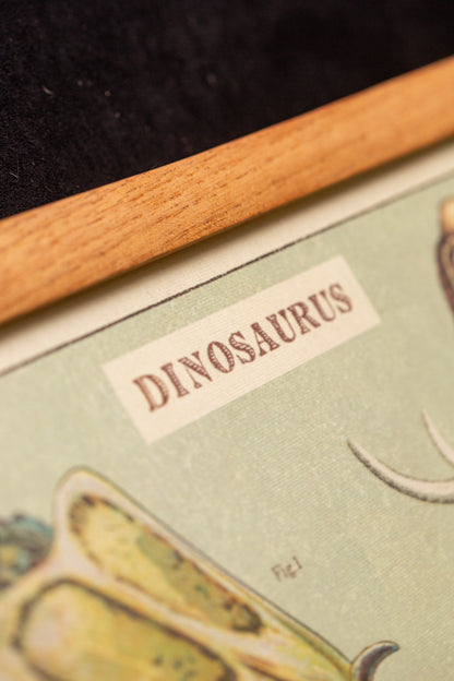 Cavallini - Dinosaurus