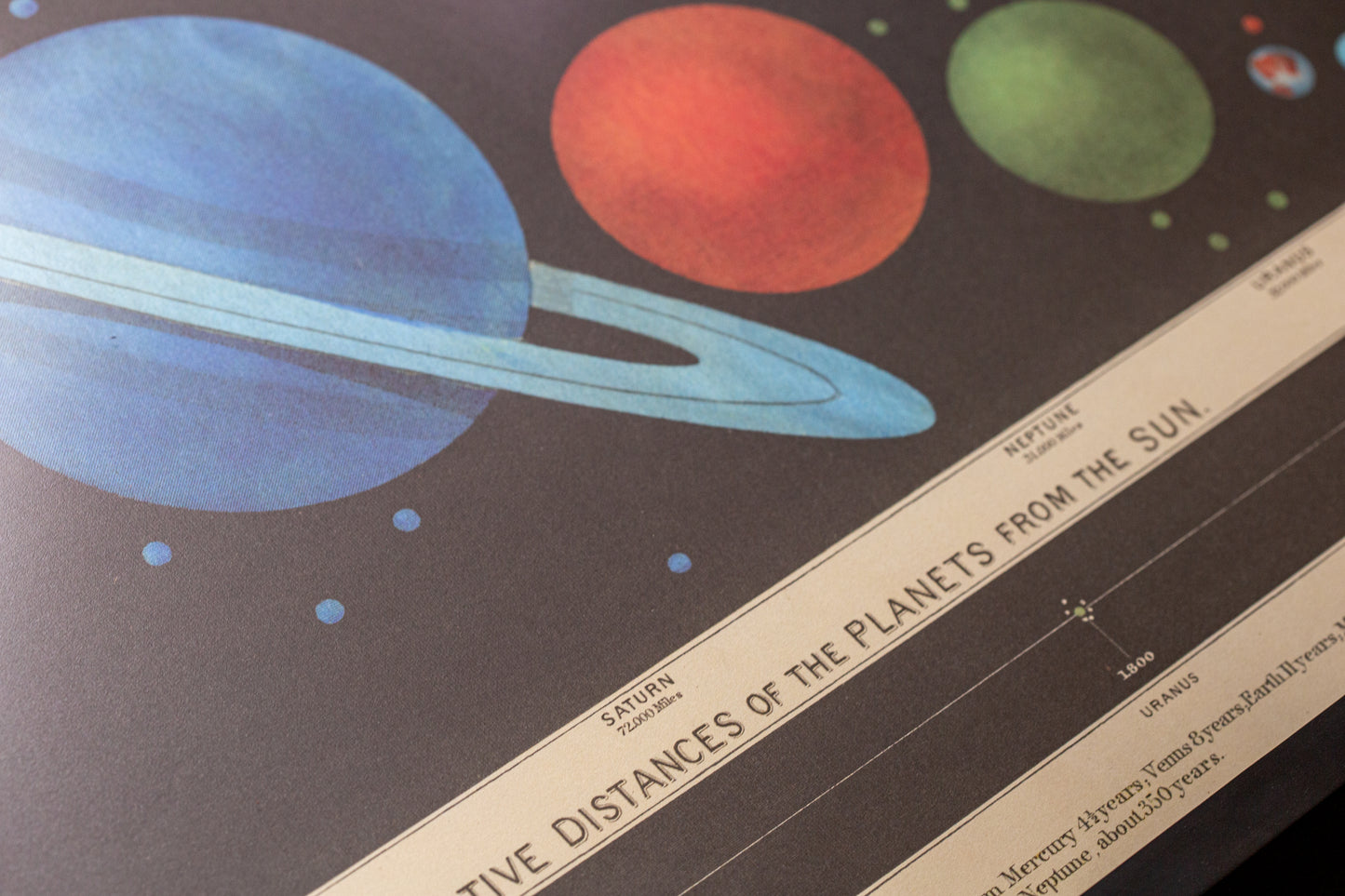 Cavallini - The solar system