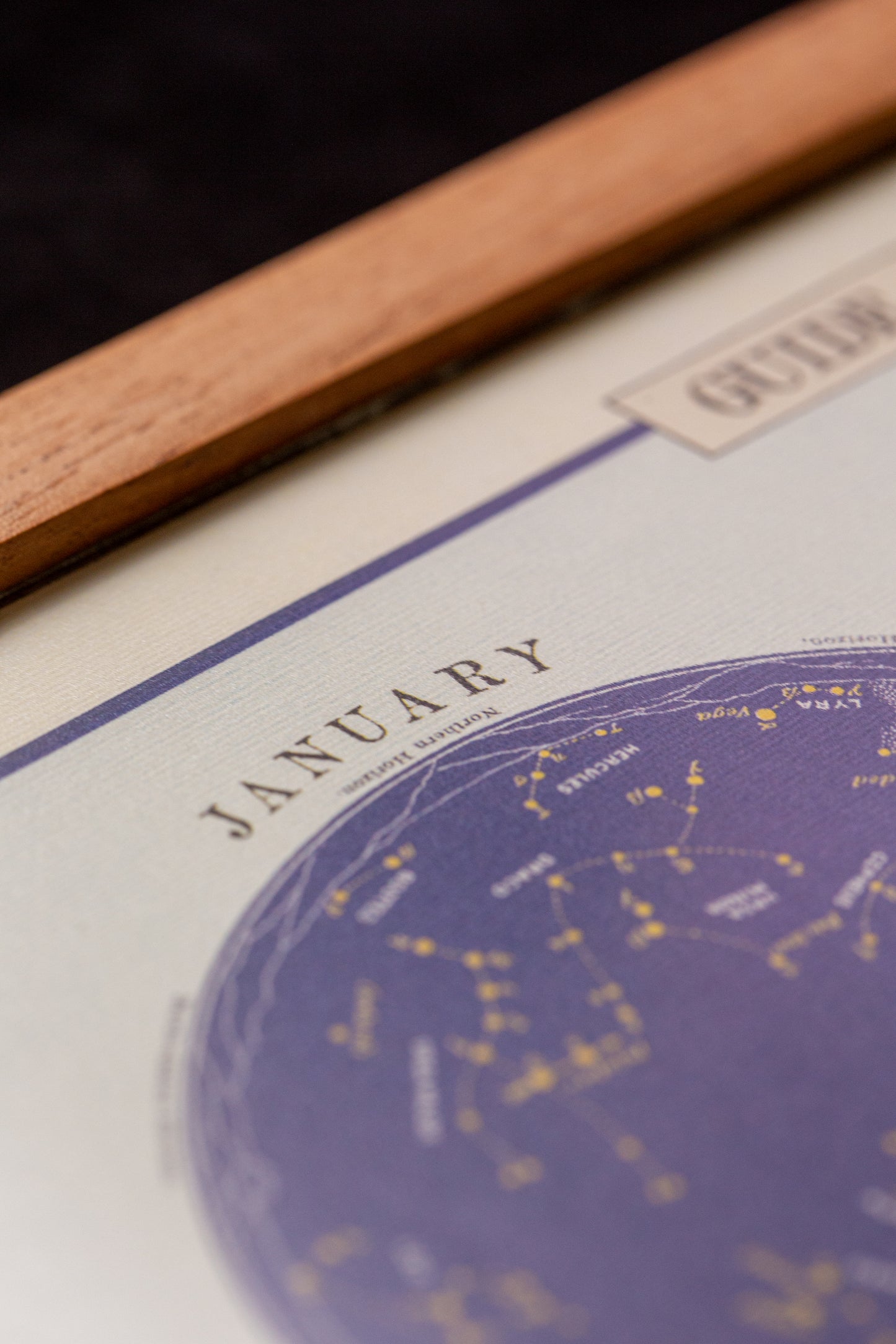 Cavallini - Guide to the constellations