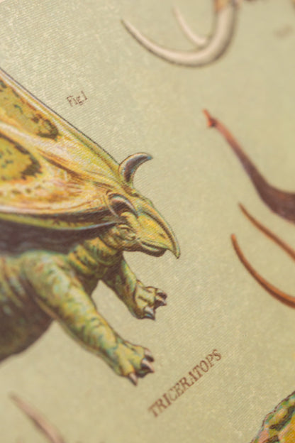 Cavallini - Dinosaurus