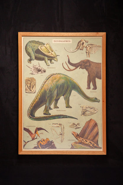 Cavallini - Dinosaurus