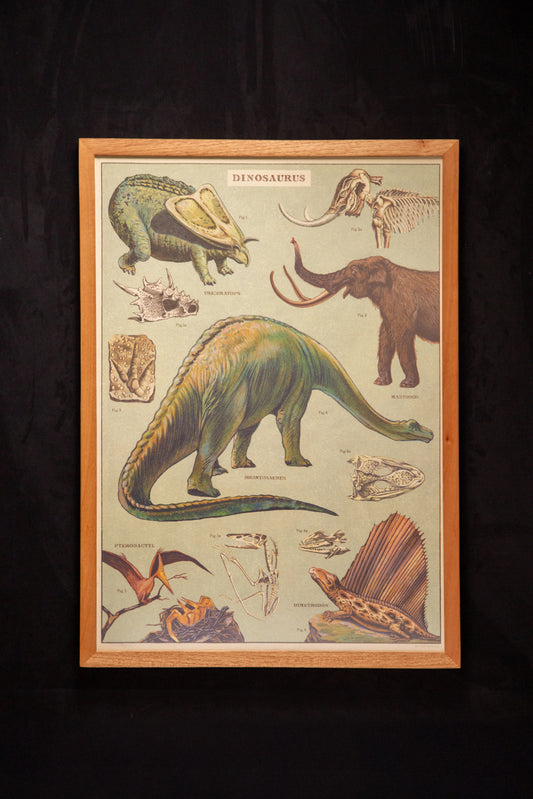 Cavallini - Dinosaurus