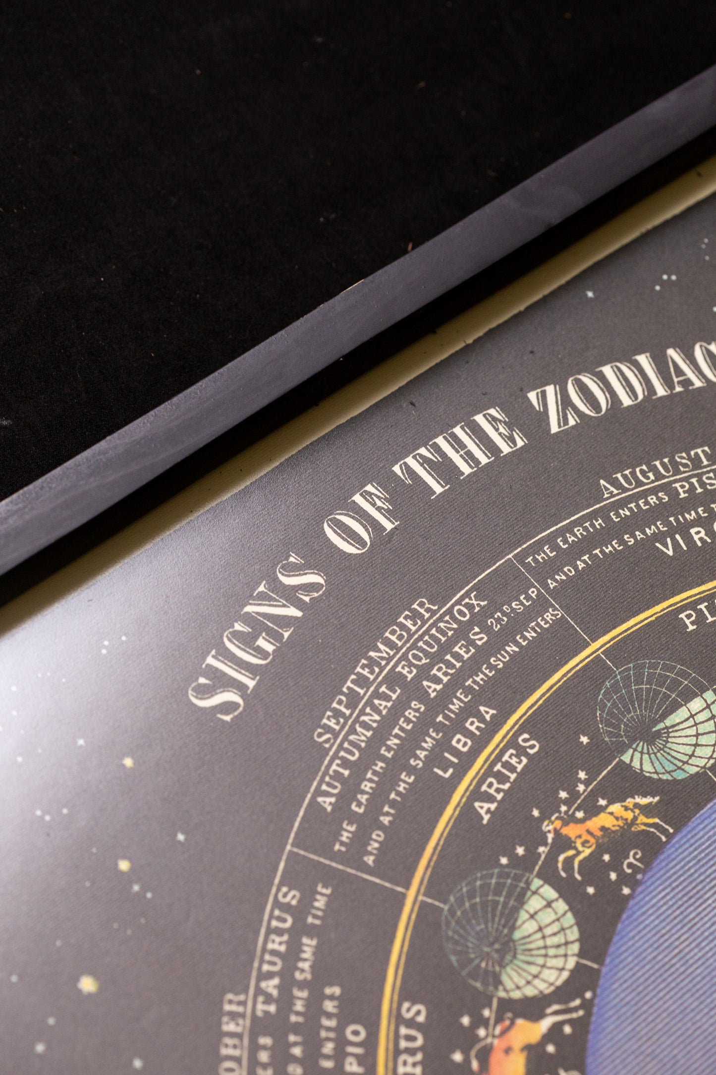 Cavallini - Signs of the zodiac