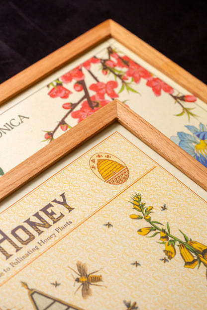 Cavallini - Bees & Honey
