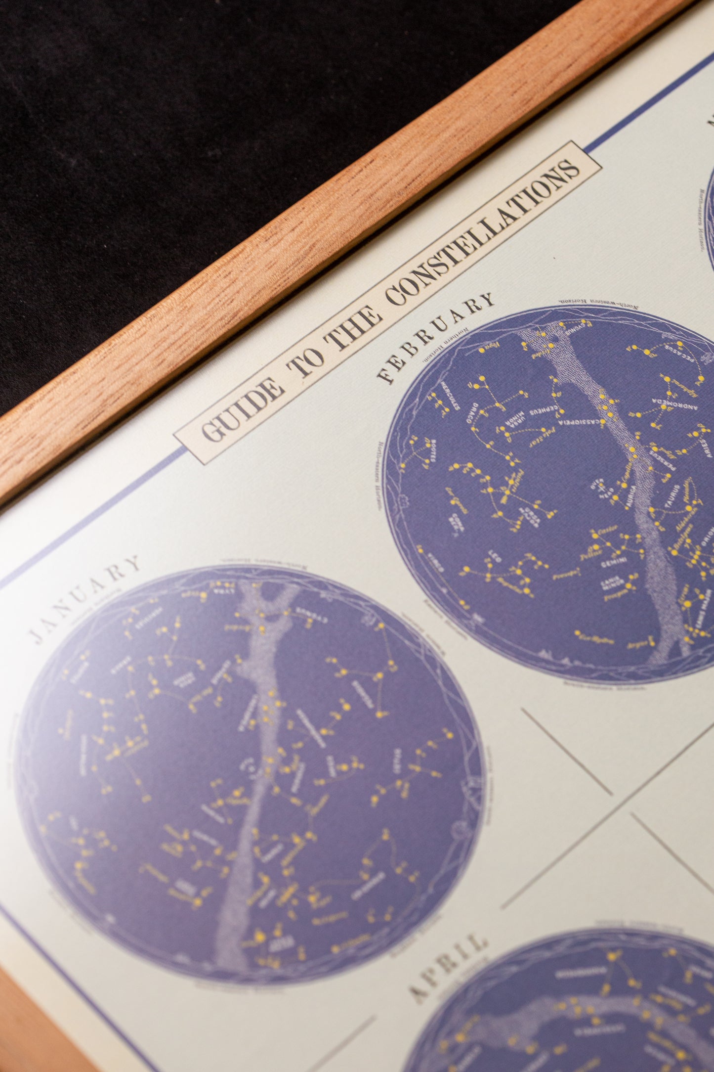 Cavallini - Guide to the constellations