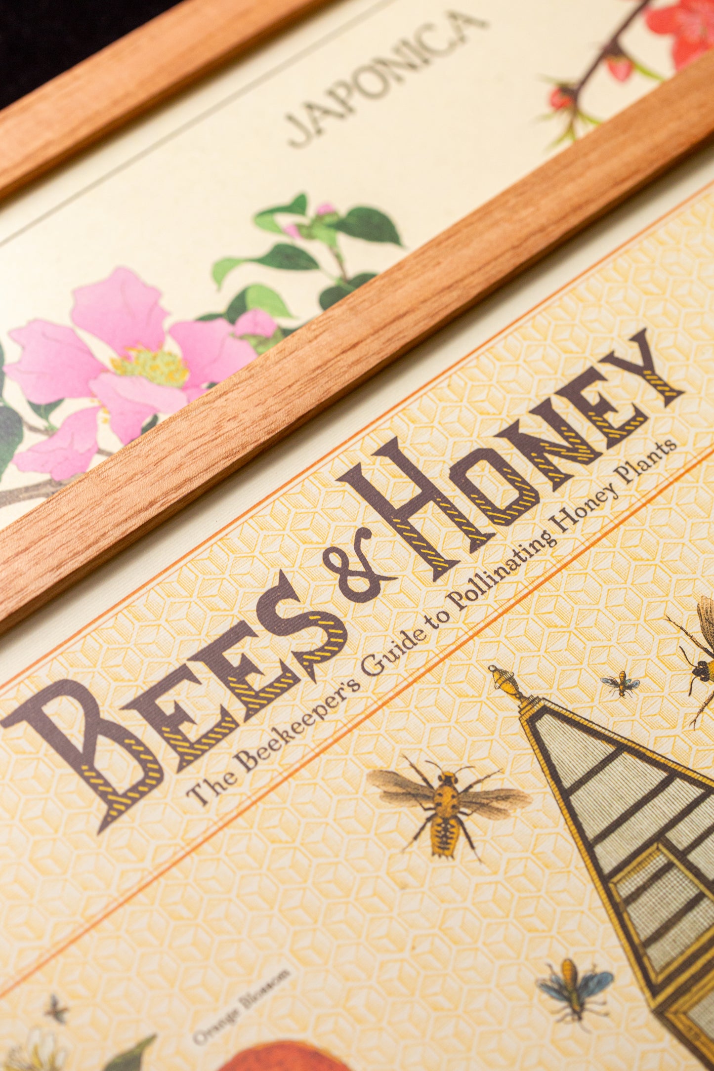 Cavallini - Bees & Honey